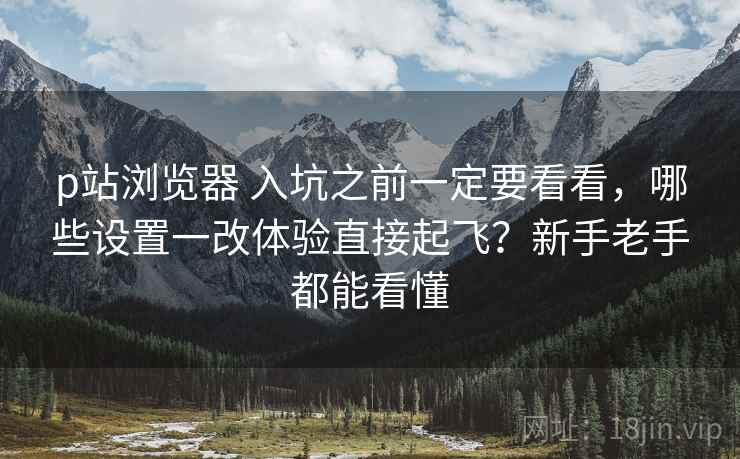 p站浏览器 入坑之前一定要看看，哪些设置一改体验直接起飞？新手老手都能看懂