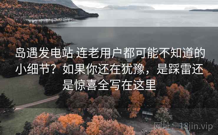 岛遇发电站 连老用户都可能不知道的小细节？如果你还在犹豫，是踩雷还是惊喜全写在这里