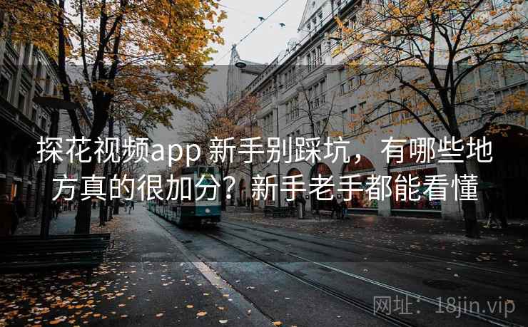 探花视频app 新手别踩坑，有哪些地方真的很加分？新手老手都能看懂