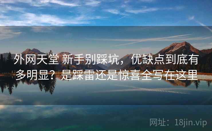 外网天堂 新手别踩坑，优缺点到底有多明显？是踩雷还是惊喜全写在这里