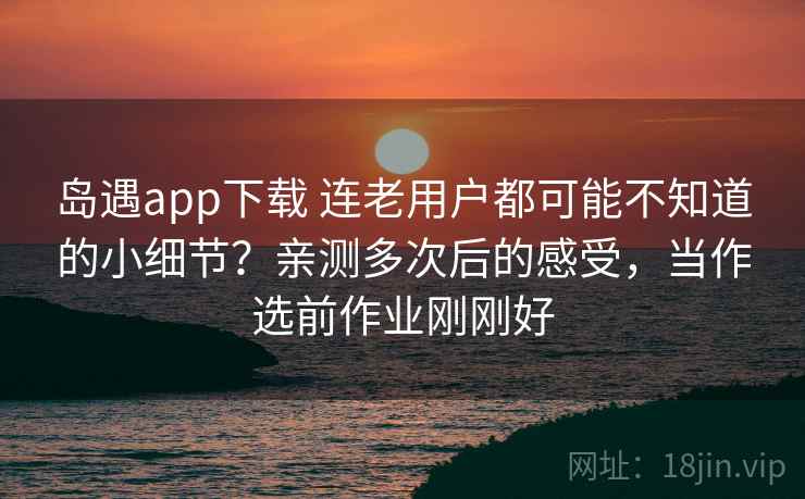 岛遇app下载 连老用户都可能不知道的小细节？亲测多次后的感受，当作选前作业刚刚好