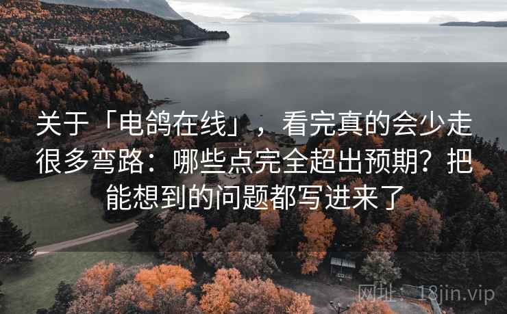 关于「电鸽在线」，看完真的会少走很多弯路：哪些点完全超出预期？把能想到的问题都写进来了