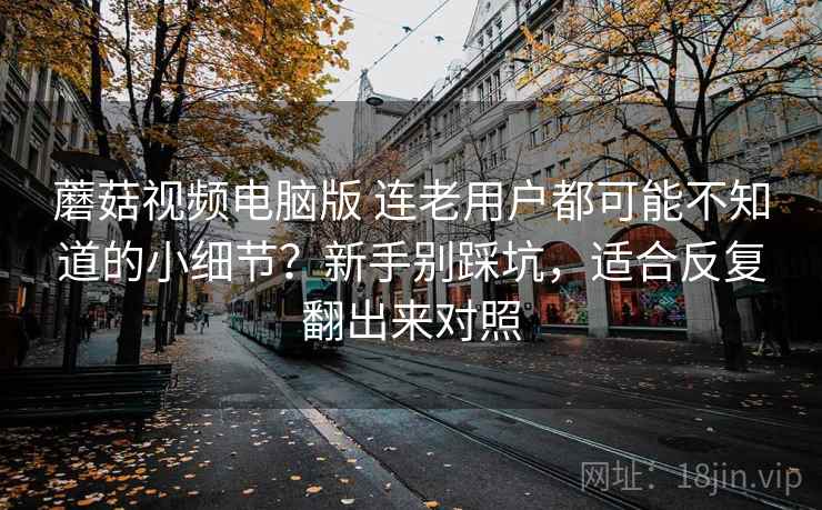 蘑菇视频电脑版 连老用户都可能不知道的小细节？新手别踩坑，适合反复翻出来对照