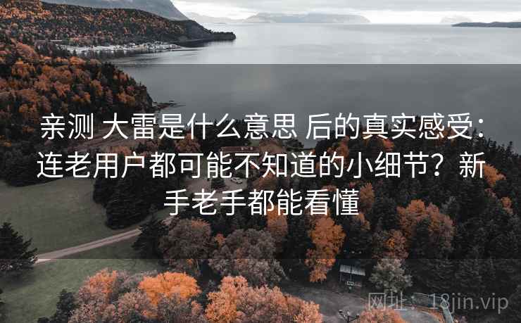 亲测 大雷是什么意思 后的真实感受:连老用户都可能不知道的小细节?新手老手都能看懂 亲测 大雷是什么意思 后的真实感受:连老用户都可能不知道的小细节?新手老手都能看懂