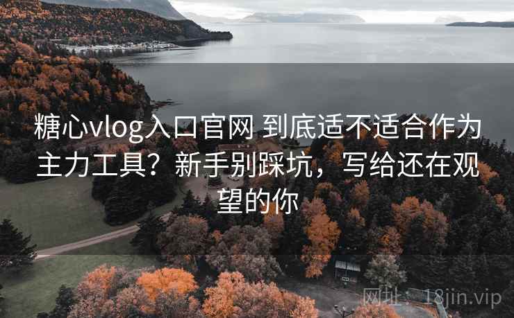 糖心vlog入口官网 到底适不适合作为主力工具？新手别踩坑，写给还在观望的你